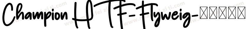 Champion HTF-Flyweig字体转换